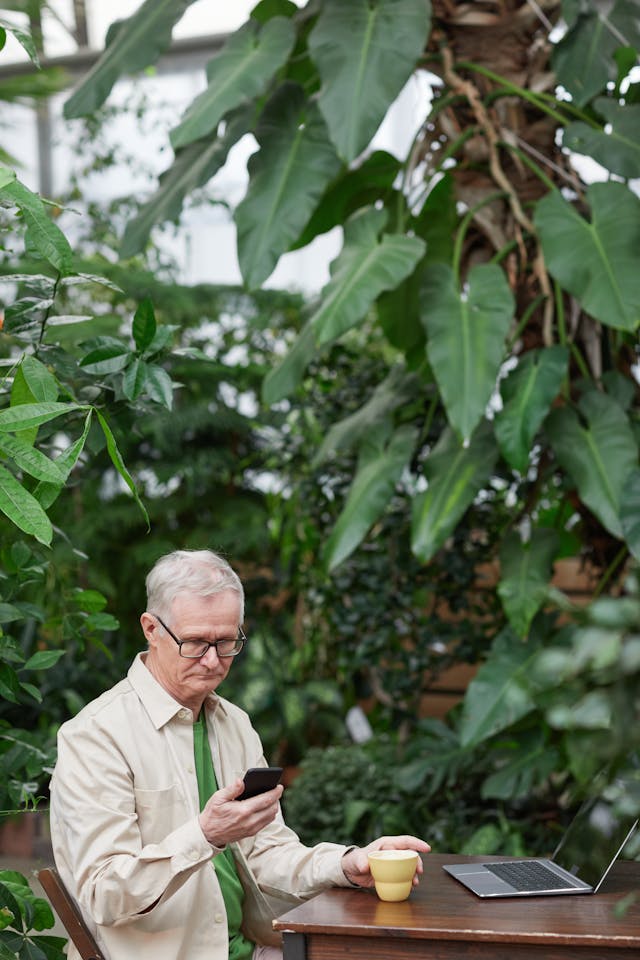 Farnovestia galéria